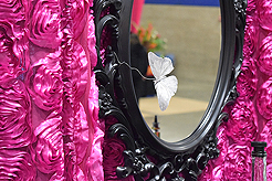 DEGRUV LIQUID CATERING AND KWANCHAI EVENTS